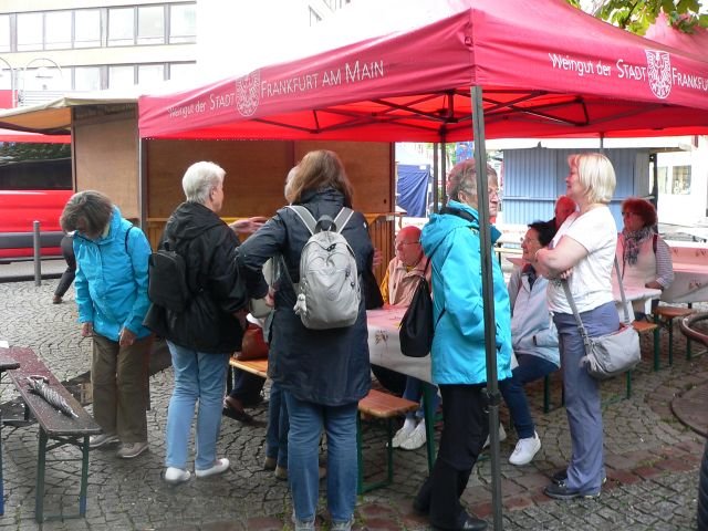 39. Volkslauf "Rund um Bornheim mit Kind und Kegel"