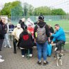 41. Volkslauf "Rund um Bornheim mit Kind & Kegel" 2022