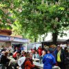 44. Volkslauf 2025